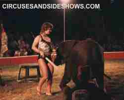 franzen Bros. Circus elephant act