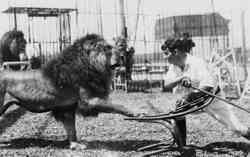 Clyde Beatty Lion Trainer