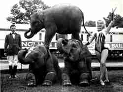 John and Mary Ruth with elephants