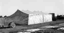 Horse tent Kelly Miller Circus 1945