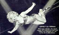 fox norma circus performer trapeze aerialist she suited excelled career spot professional single well very