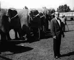 Circus elephant trainer Rex Williams
