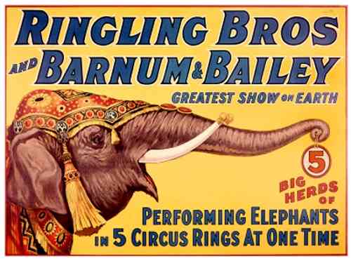 Ringling Brothers & Barnum Bailey Circus 143rd Flag with Elephant 