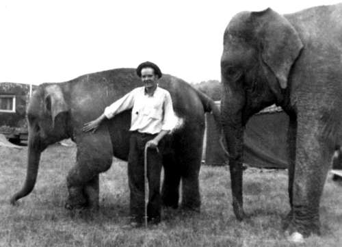 Elephant Trainer Roger Boyd