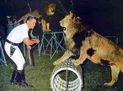 Circus animal trainer Fred Logan