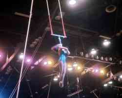 Rosa Gibbs performing "Iron Jaw" fron the trapeze